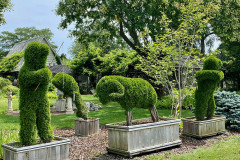 Garden-Gallery-5