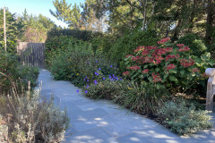 Garden2
