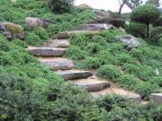 7garden