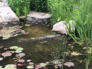 Grotto-Copy