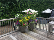 Rocklen-Pots